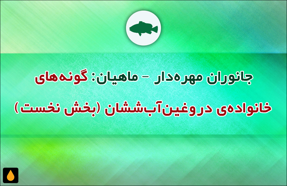 جانوران مهره‌دار - ماهیان: گونه‌های خانواده‌ی دروغین‌آب‌ششان (بخش نخست)