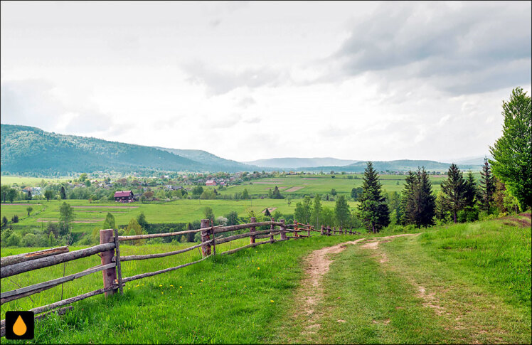 داستان کوتاه دیگران را تشویق کنیم تا رشد کنند