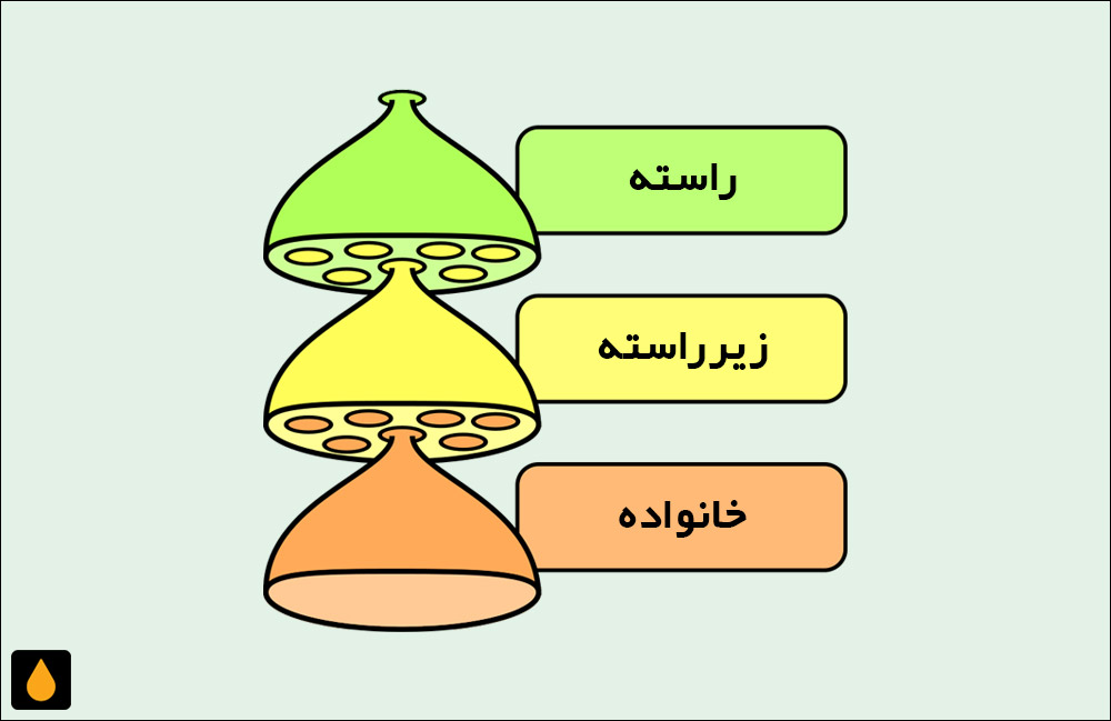 فهرست خانواده‌های جانوری