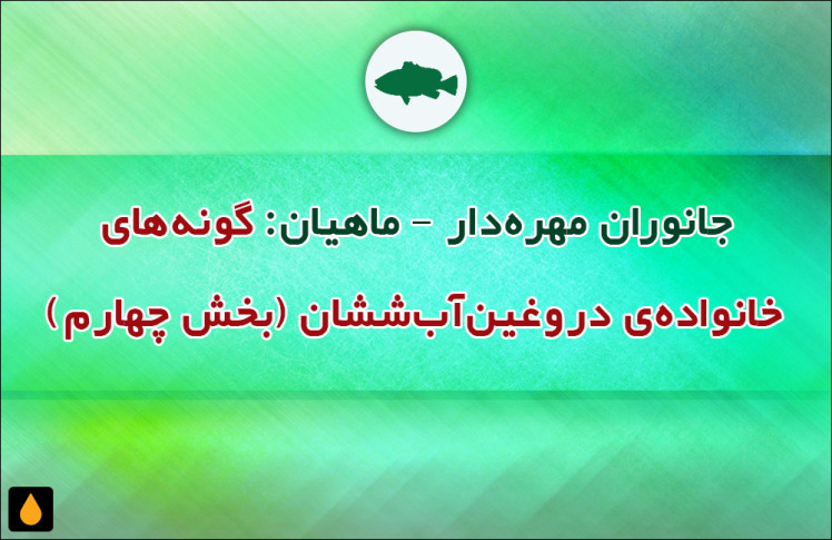 جانوران مهره‌دار - ماهیان: گونه‌های خانواده‌ی دروغین‌آب‌ششان (بخش چهارم)