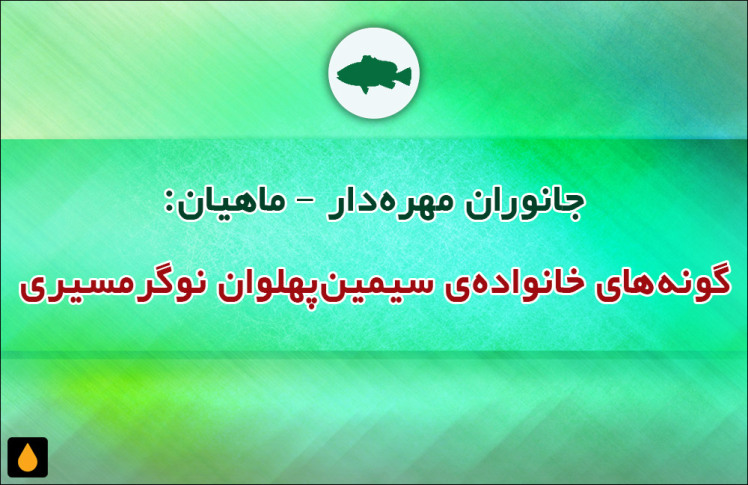 جانوران مهره‌دار - ماهیان: گونه‌های خانواده‌ی سیمین‌پهلوان نوگرمسیری