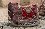 داستان کوتاه پالان ندیده