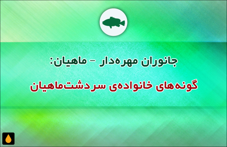 جانوران مهره‌دار - ماهیان: گونه‌های خانواده‌ی سردشت‌ماهیان