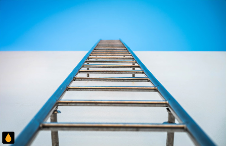 داستان کوتاه نردبان کدام دیوار