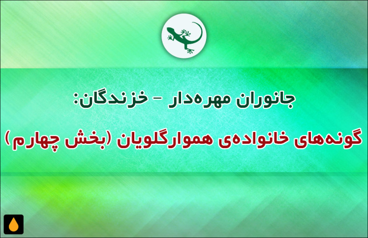 جانوران مهره‌دار - خزندگان: گونه‌های خانواده‌ی هموارگلویان (بخش چهارم)