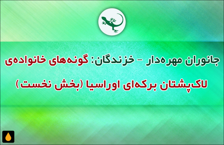 جانوران مهره‌دار - خزندگان: گونه‌های خانواده‌ی لاک‌پشتان برکه‌ای اوراسیا (بخش نخست)